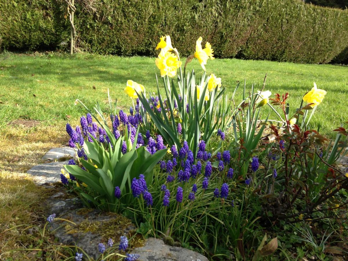 L'Atelier Au Jardin D'Isabelle Bed & Breakfast Fatouville-Grestain Bagian luar foto