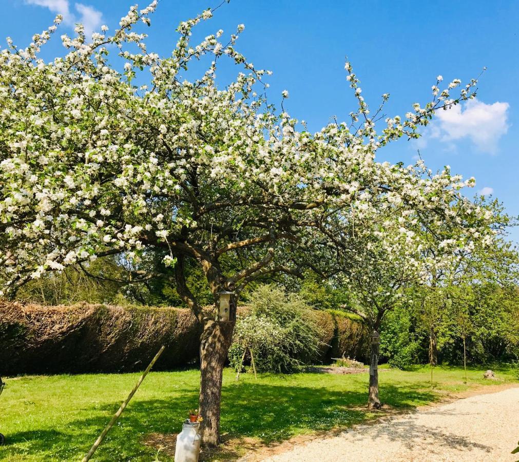 L'Atelier Au Jardin D'Isabelle Bed & Breakfast Fatouville-Grestain Bagian luar foto